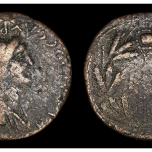 REINO DEL BOSFORO - Sauromates I 90-124d.C.