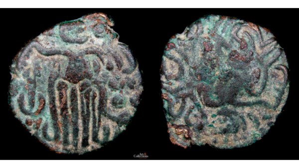 CHOLA 985-1014d.C., AE Kahavanu