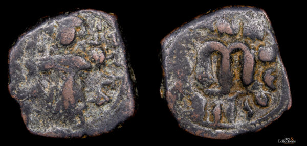 CONSTANTE II 641-668d.C., AE Follis, Constantinopla