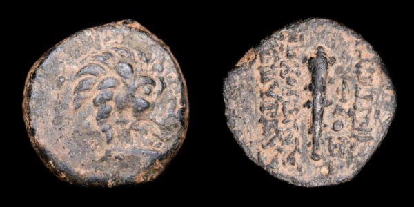 IMPERIO SELEUCIDA, ANTIOCO VII "Euergetes" 138-129a.C.