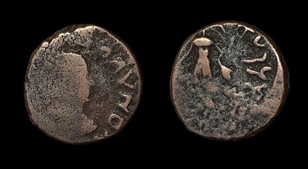 KUJULA KADPHISES ca 15-50d.C., AE20