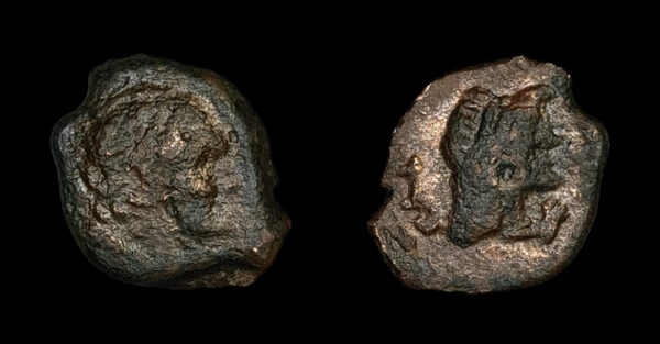 CIRENE (Cirenaica) dom. ptolemaico 204-140a.C.