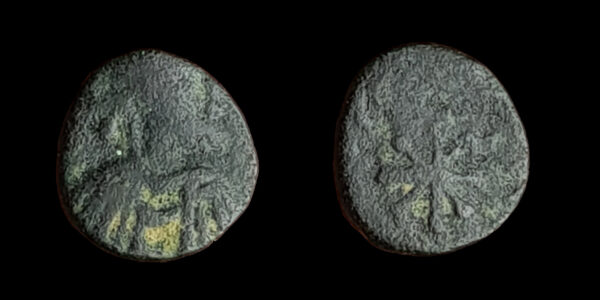 GUNTAMUNDO 484-496d.C., AE Nummus, Cartago